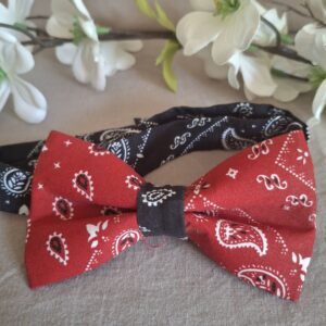 Noeud papillon