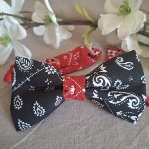 Noeud papillon