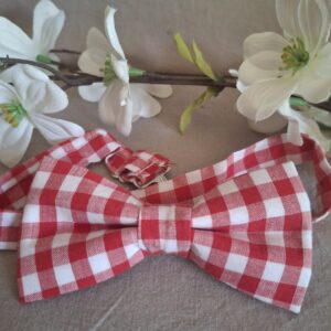 Noeud papillon