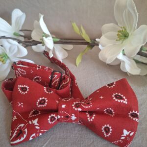 Noeud papillon