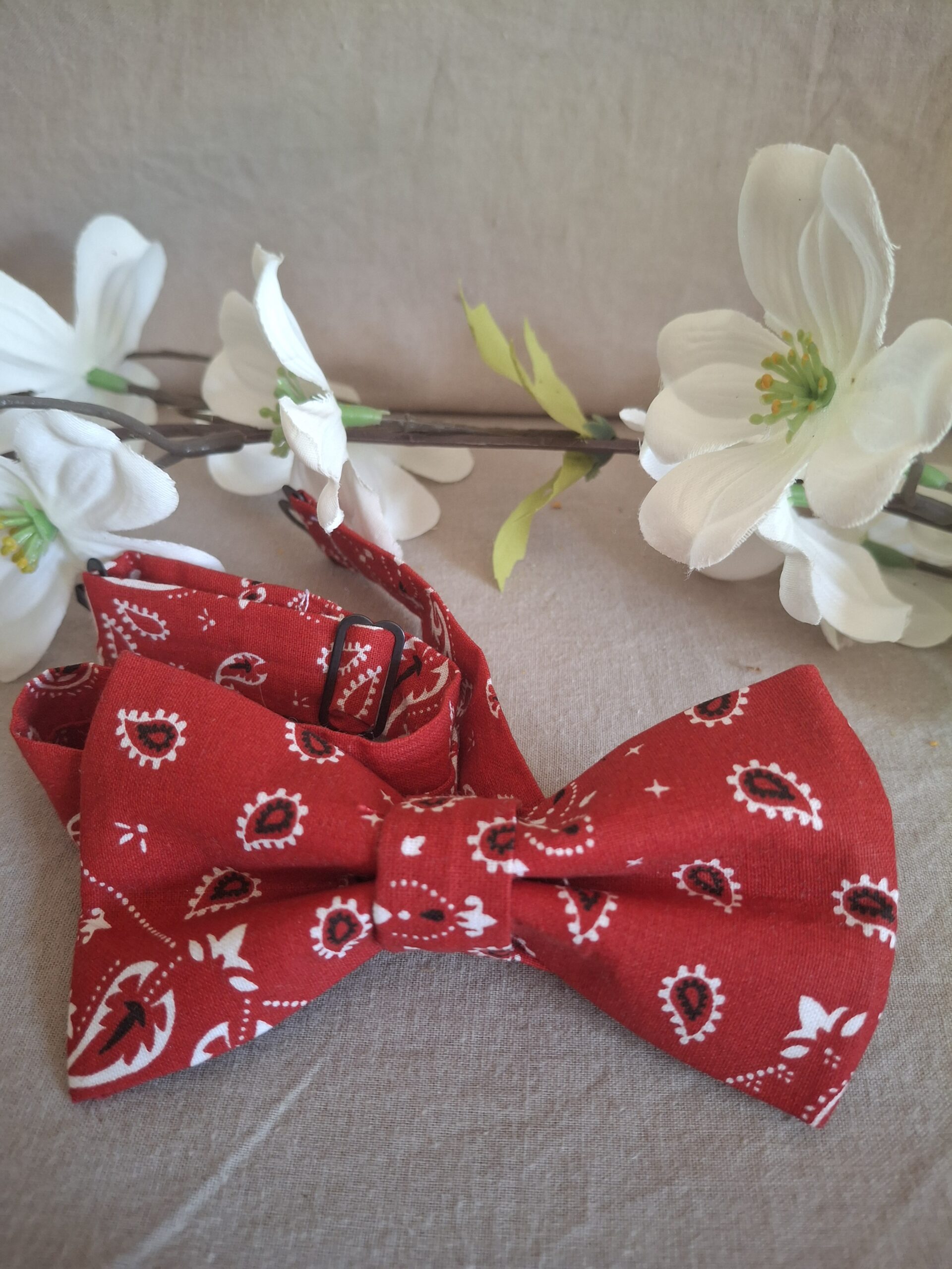 Noeud papillon