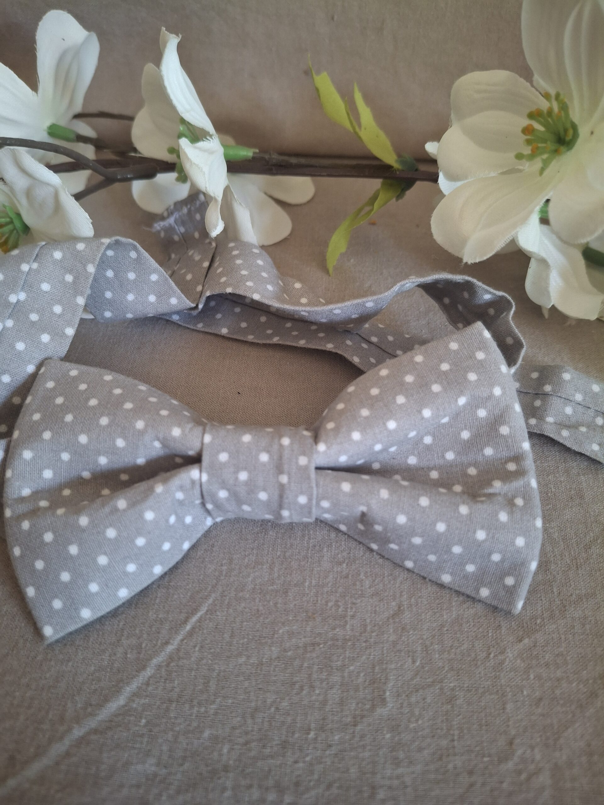 Noeud papillon
