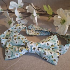 Noeud papillon
